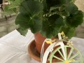 IMG 7861 resize