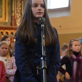 136 DSC 0535
